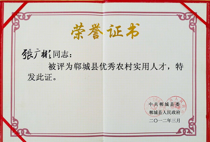 榮譽(yù)資質(zhì)